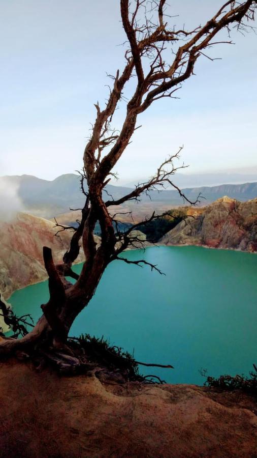 Privatunterkunft Ijen Basecamp